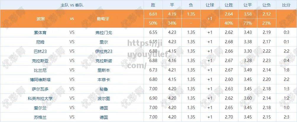 九游娱乐-波黑国家队冲劲无比，高歌猛进声势浩大